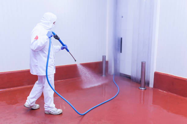 Best Building Exterior Washing  in Woods Hole, MA